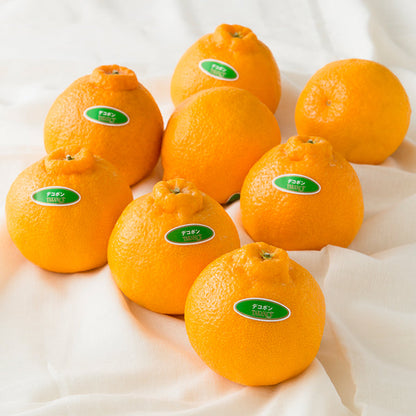 新宿高野 Day Fruit デイフルーツ デコポン