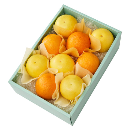 新宿高野 ジャクソンフルーツ＆旬果I