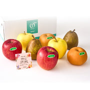 新宿高野 感謝！ファミリーフルーツセットC #29100