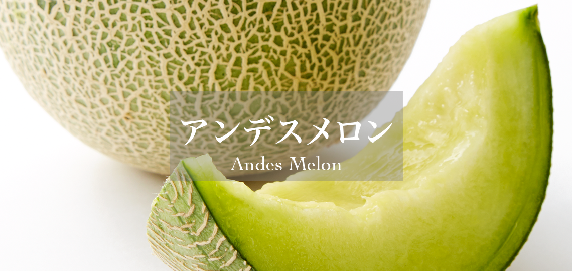 アンデスメロン