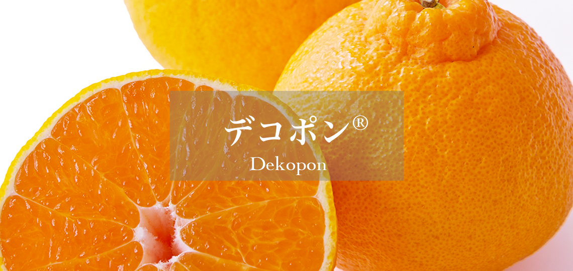 デコポン®︎