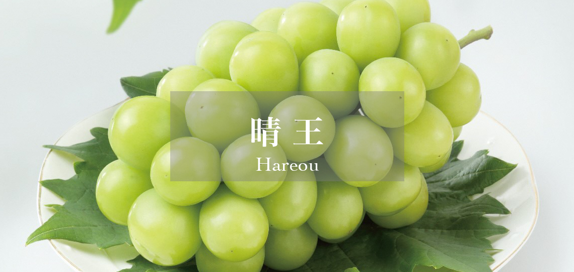 晴王®