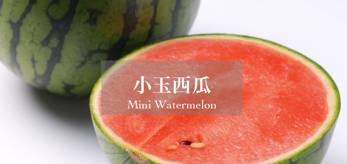 小玉西瓜