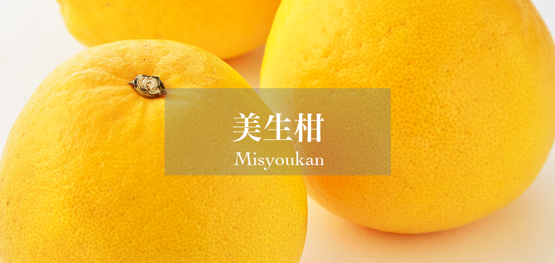 美生柑