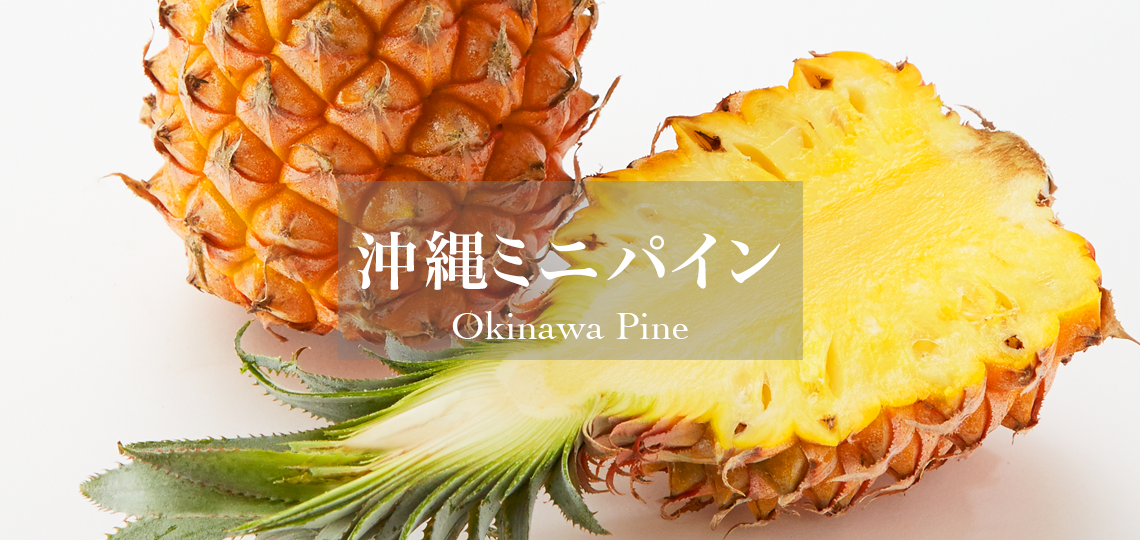 沖縄ミニパイン