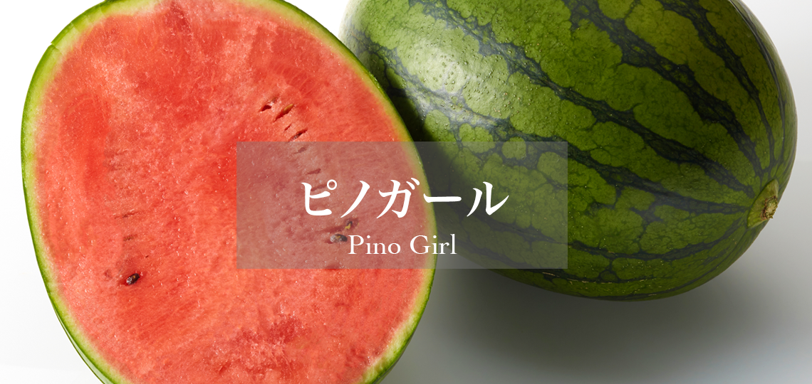 ピノガール
