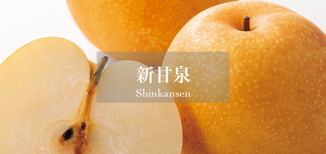 新甘泉