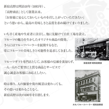 新宿高野 母の日 マスクメロン #93583